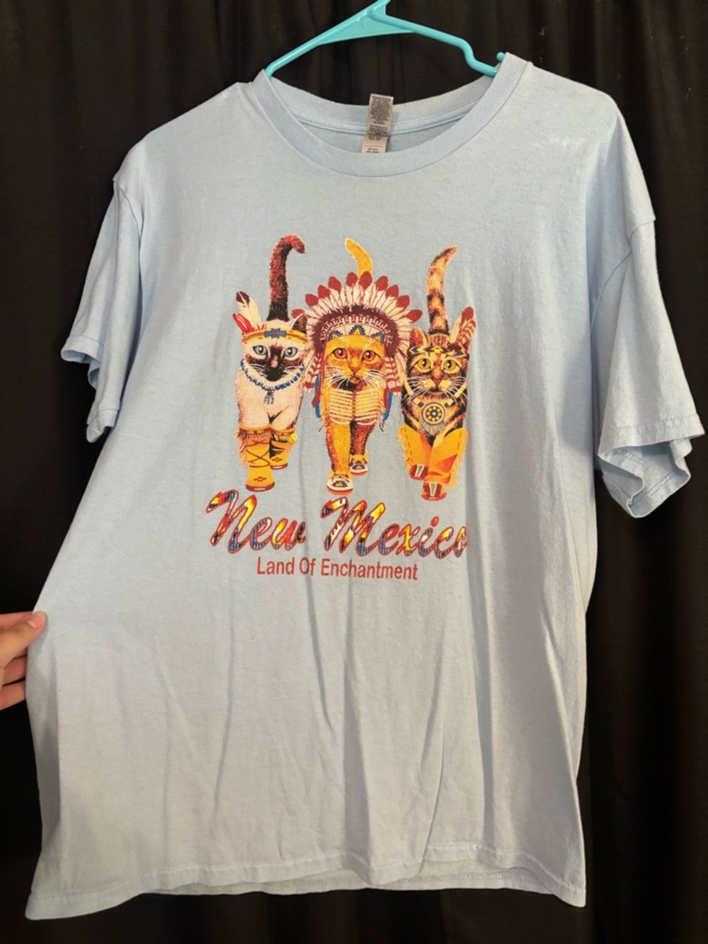 Gildan Light Blue Tee with Multicolor Floral Cat Graphic